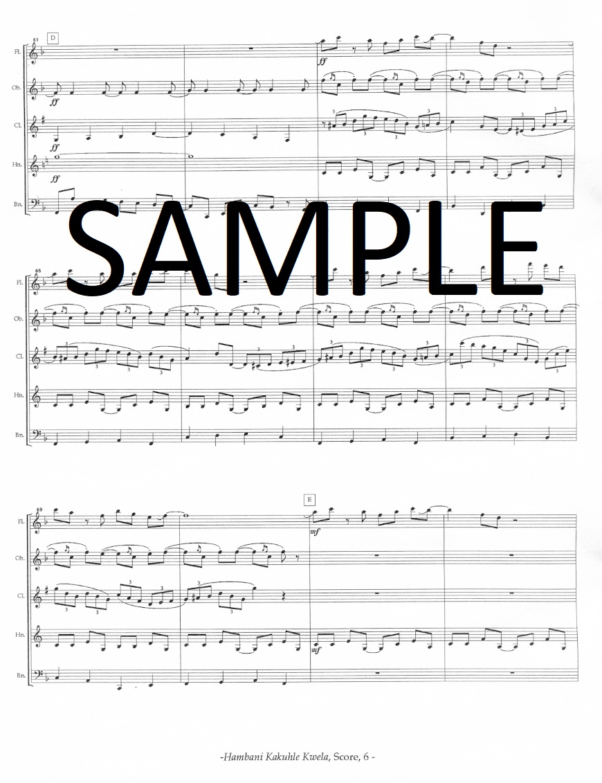 Buy Hambani Kakuhle Kwela Online at 23 Flute World