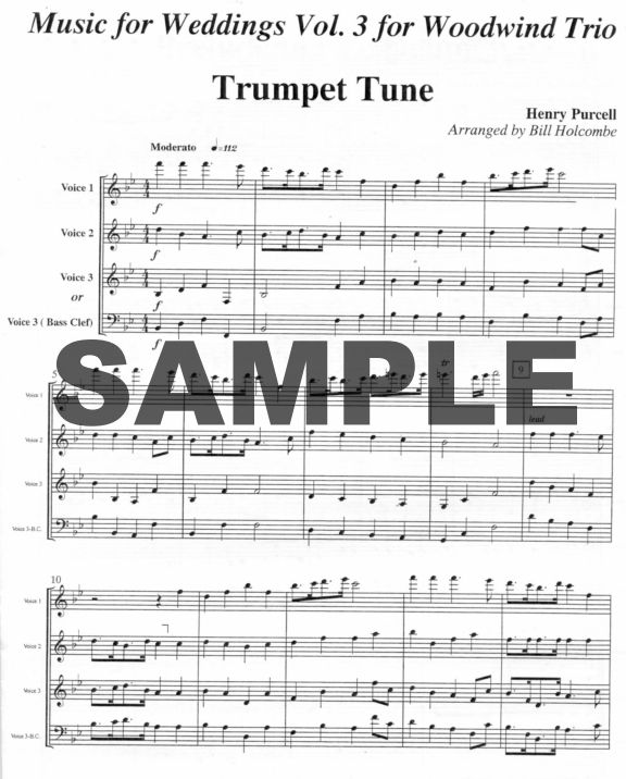 Buy Music for Weddings (v.3) Online at 25 Flute World