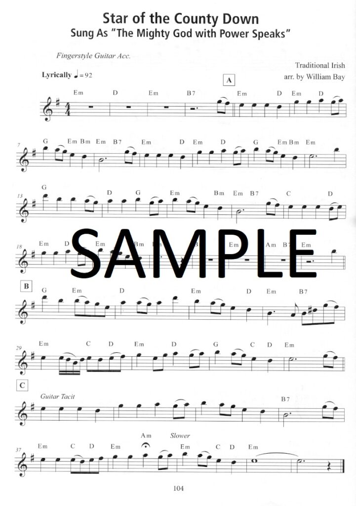 Buy One Hundred Hymns for Flute and Guitar Online at 19.99 Flute World