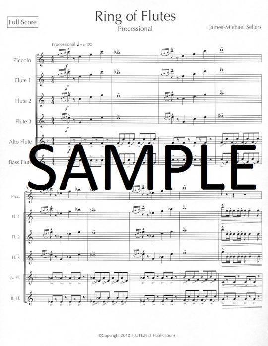 Buy Ring of Flutes Online at 22 Flute World