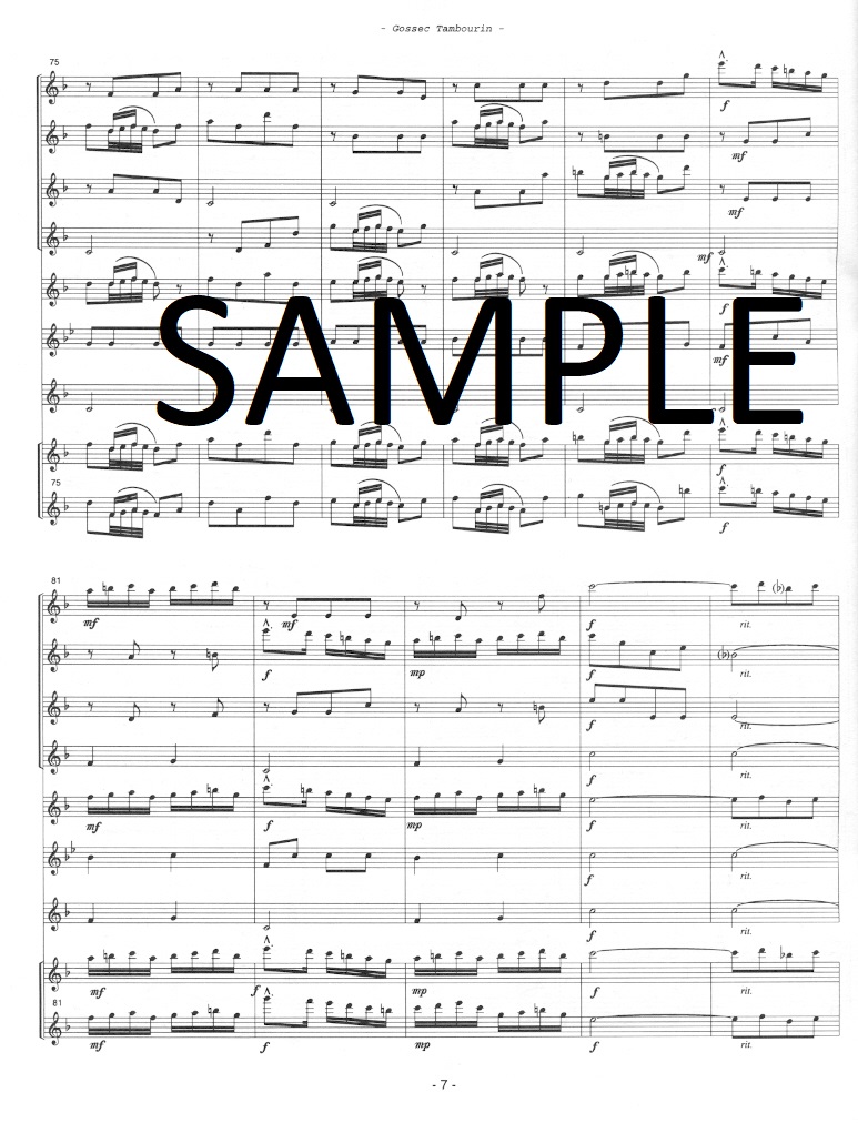 Buy Tambourin Online at 14.99 Flute World