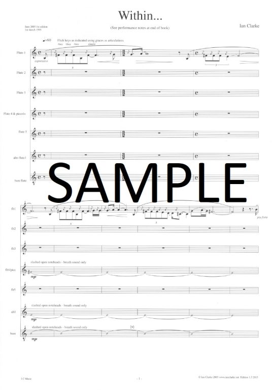 Buy Within... (Flute Choir Version) Online at 59.95 Flute World