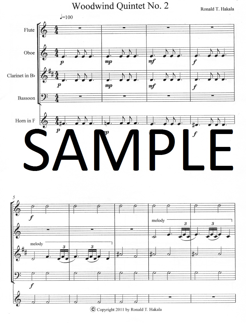 Buy Woodwind Quintet 2 Online at 19.8 Flute World
