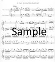 Abduction from the Seraglio (ed.Weinzierl-Wachter) (score form)