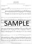 Adagio in Eb (S.1017)