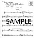 Adagio in g minor