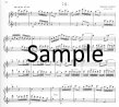 Album of Thirty Duets (v.2) (score form)