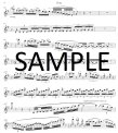 All-Knowing Salmon/Noogleshifty-Contemporary Irish Music for Silver Flute
