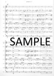Allegretto from Symphony #7