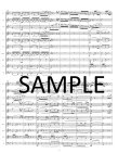Allegretto Grazioso from Symphony #8
