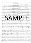 Allegro con Fuoco from the New World Symphony
