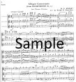 Allegro Concertante from Divertimento