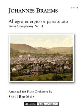 Allegro energico e passionato from Symphony #4