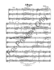 Allegro for Flute Trio