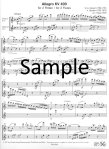 Allegro (K400) (2 scores)
