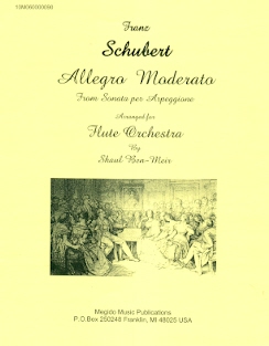 Allegro Moderato from Sonata Arpeggione