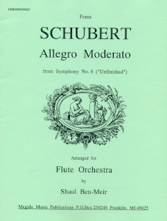 Allegro Moderato from Symphony #8 (Unfinished)