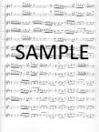 Allegro Molto from Symphony #8