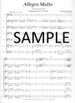 Allegro Molto from Symphony #8