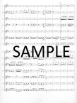Allegro Molto from Symphony #8