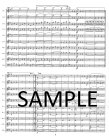 Allegro Vivace from Symphony in C