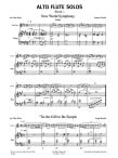 Alto Flute Solos(bk1)