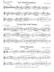 Alto Flute Solos(bk1)