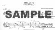 Ambages
