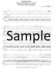 Andante from Piano Concerto #21 (K467)