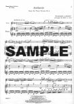 Andante from Piano Sonata #1