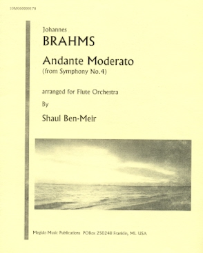 Andante Moderato from Symphony #4