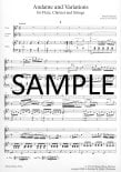Andante & Variations
