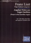Angelus! Priere aux Anges Gardiens