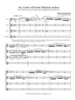 Aria - Aus Liebe will mein Heiland sterben from St. Mathew Passion BWV244
