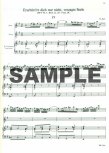 Arias & Sinfonias 6