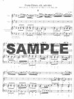 Arias & Sinfonias 8
