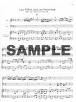 Arias & Sinfonias 8