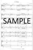 Around the World in 20 Flute Duets