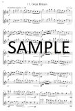 Around the World in 20 Flute Duets
