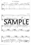 Around the World in 20 Flute Duets
