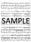 Arpeggione Sonata(ed.Stallman)