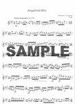 Arquichorihho for flute and piano