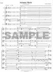 Autumn Music for Woodwind Quintet