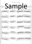 Avant-Garde Sampler