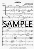 Ave Maria (Bach/Gounod)