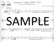 Bach Flute Solos