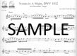Bach Flute Solos