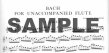 Bach for Unaccompanied Flute-17 Movements
