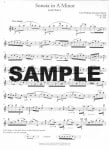 Baroque and Classical Flute - 12 Favorite Pieces