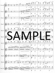 Bartered Bride Overture, The